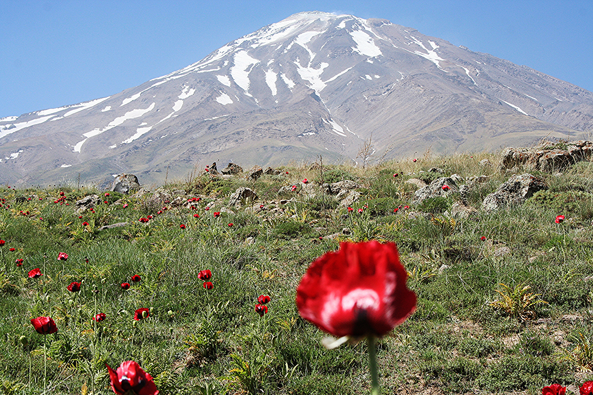 Damavand Trekking